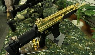 枪 2012,枪支时代的风云变幻