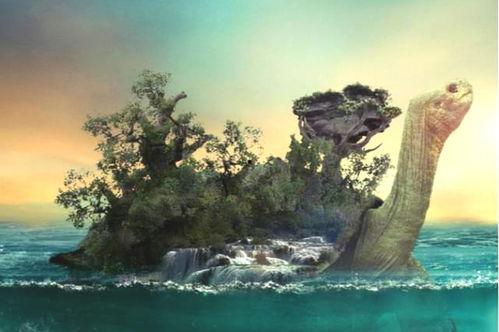 神龟岛,自然奇观与古老传说之旅