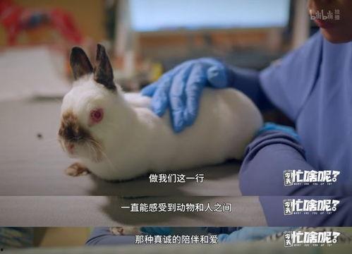 今天忙啥呢？,今日忙碌生活掠影